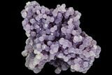 Purple, Druzy, Botryoidal Grape Agate - Indonesia #105271-2
